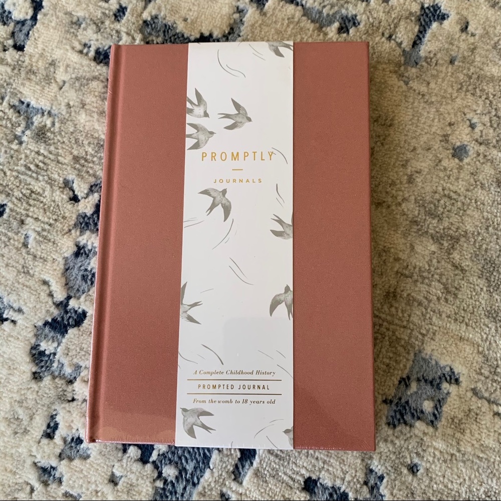Promptly childhood history journal pink